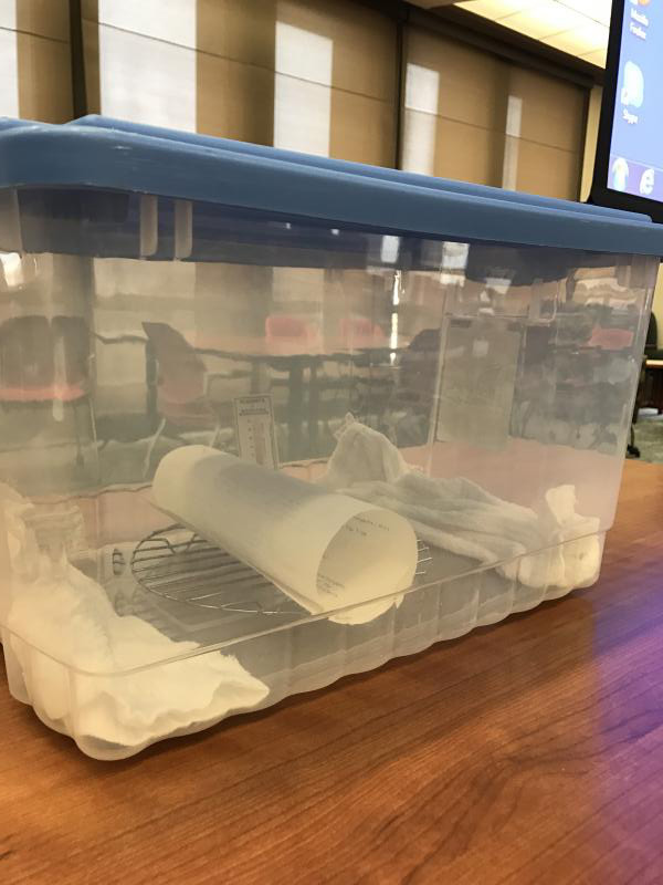 Collections Care workshop image of humidification chamber